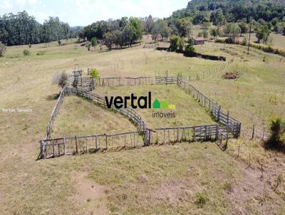 Área Rural para Venda, em Alecrim, bairro Interior - Rural - pecuária - agricultura - bovino - reflorestamento - lavoura